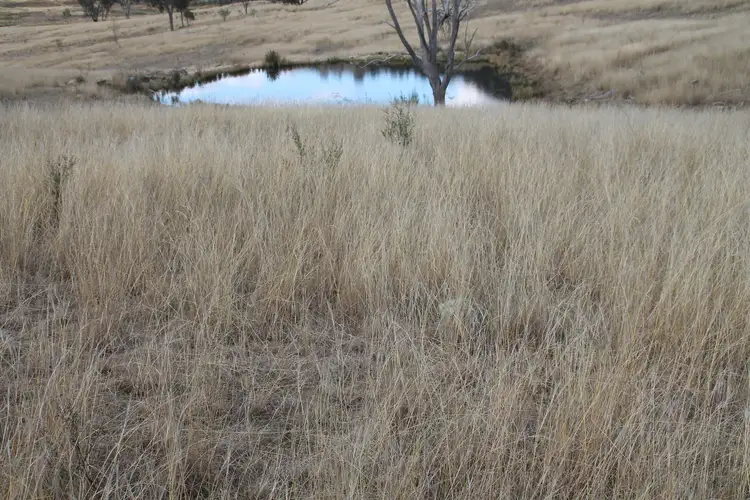 Lots 40 & 41 Gunyah Road, Tenterfield NSW 2372