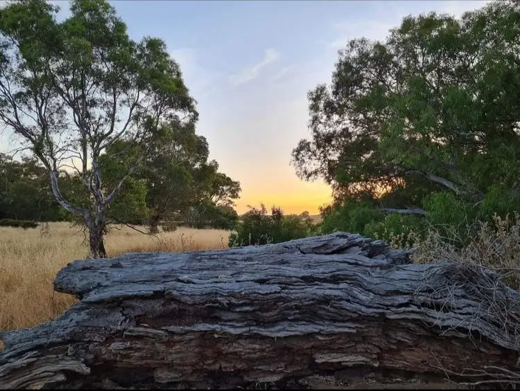1590 McCallums Creek Road, Mount Glasgow VIC 3371