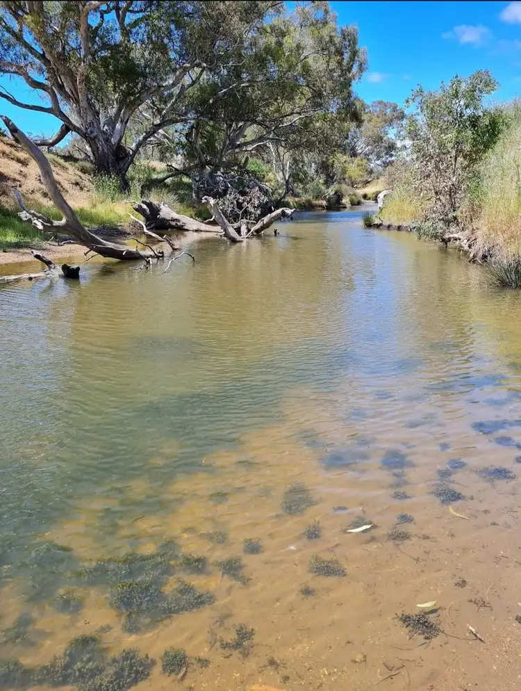 Sixth view of Homely land listing, 1590 McCallums Creek Road, Mount Glasgow VIC 3371