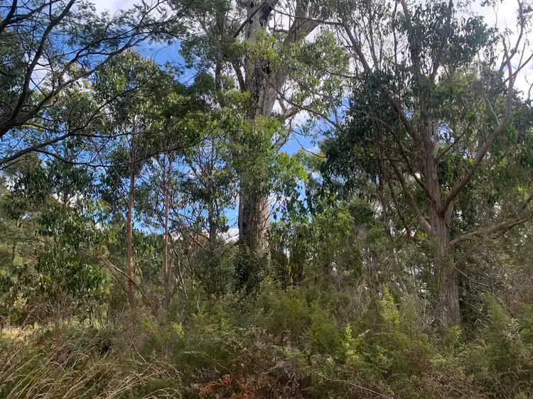 Lot 1 North St, Elizabeth Town TAS 7304