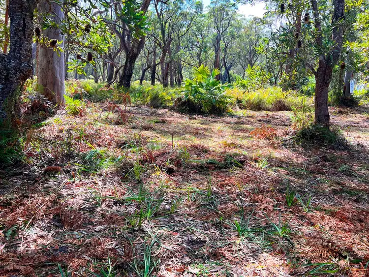 Fifth view of Homely land listing, Lot 12 Nardoo Street, Pindimar NSW 2324