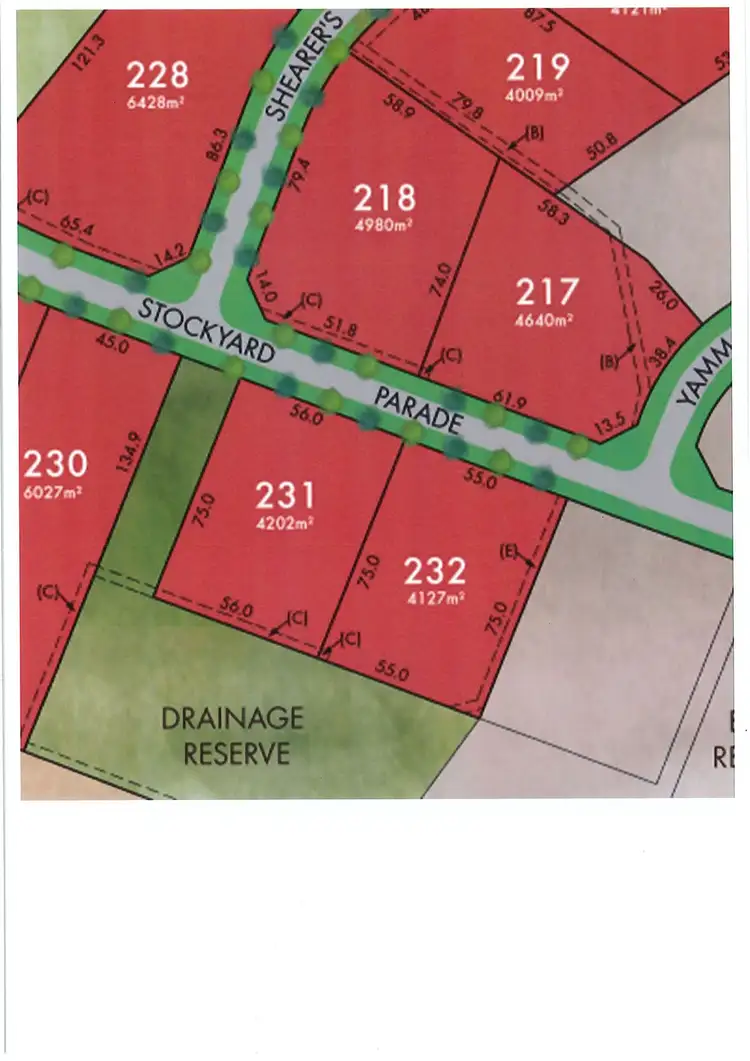 28 Stockyard parade, Muswellbrook NSW 2333