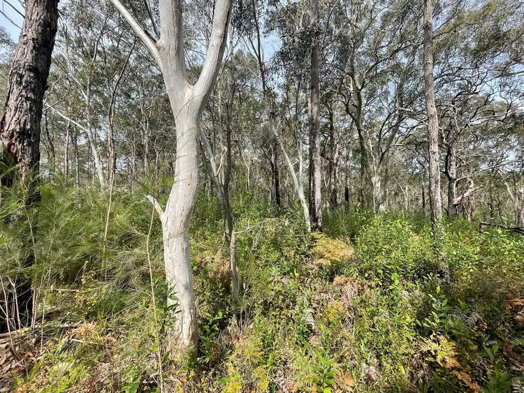 Sixth view of Homely land listing, Lots 919 - 921 Estuary Way, North Arm Cove NSW 2324