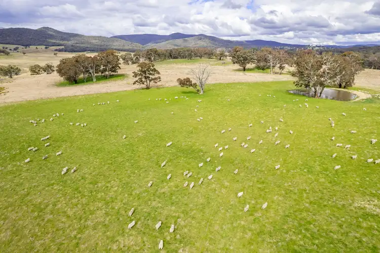 Seventh view of Homely rural property listing, 2417 & 2667 Limekilns Road, Limekilns NSW 2795