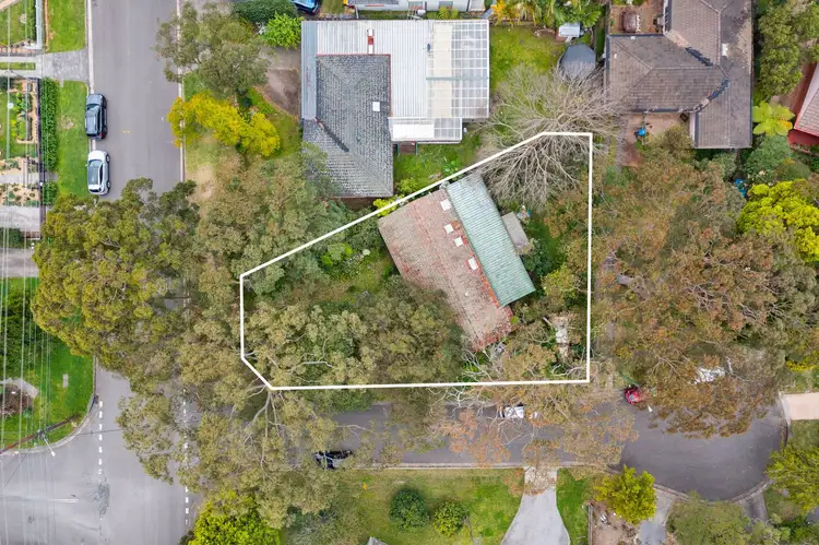 Sixth view of Homely house listing, 55 Fitzpatrick Avenue, Frenchs Forest NSW 2086