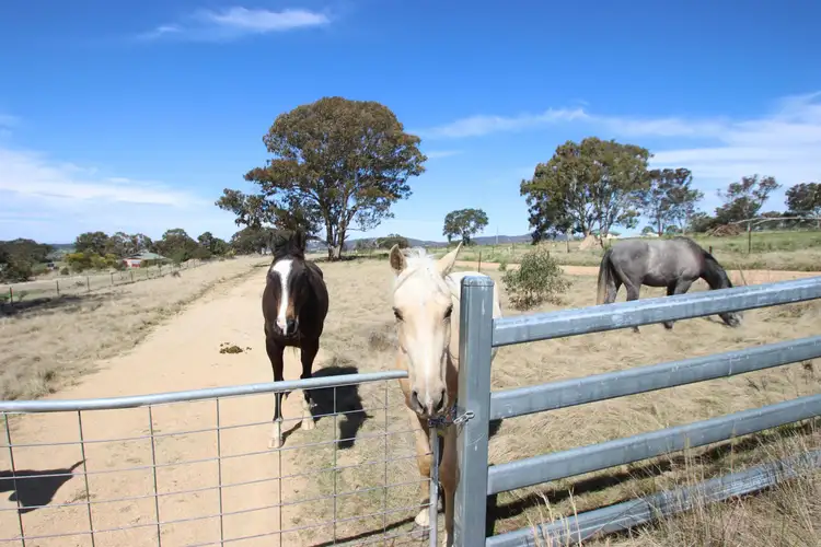 54 Neagles Lane, Tenterfield NSW 2372