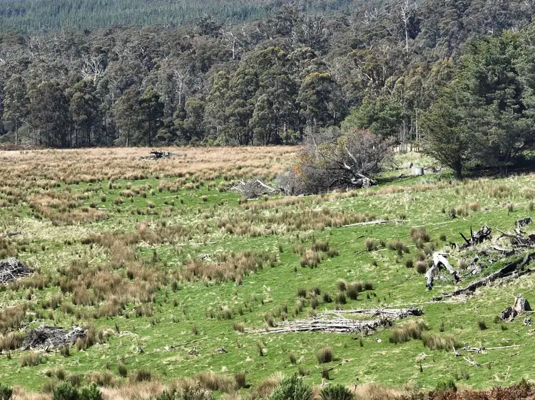 Second view of Homely rural property listing, 1535 & 1501 Tower Hill Rd, Mangana TAS 7214
