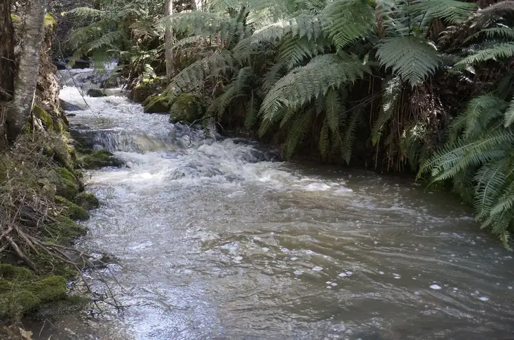 Third view of Homely rural property listing, 1535 & 1501 Tower Hill Rd, Mangana TAS 7214