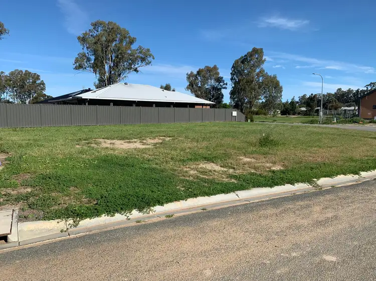 10 Armstrong Drive, Barham NSW 2732