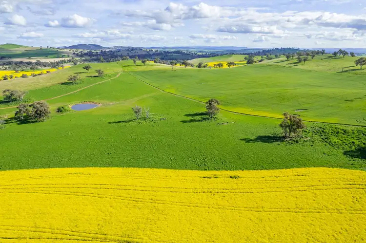 490 Reg Hailstone Way, Woodstock NSW 2793