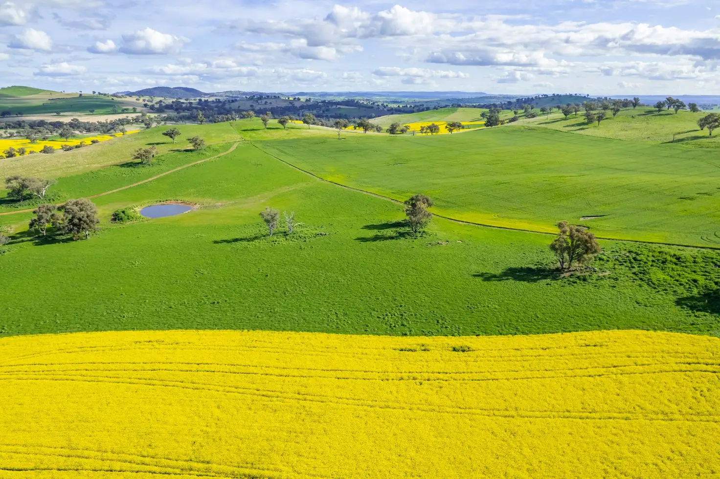 Main view of Homely rural property listing, 490 Reg Hailstone Way, Woodstock NSW 2793