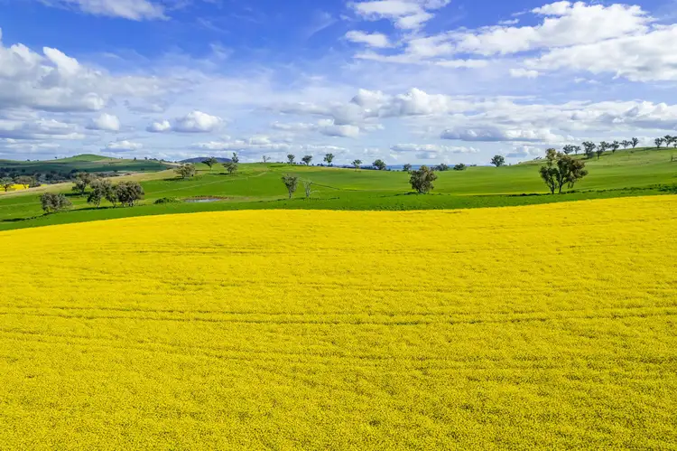 Second view of Homely rural property listing, 490 Reg Hailstone Way, Woodstock NSW 2793