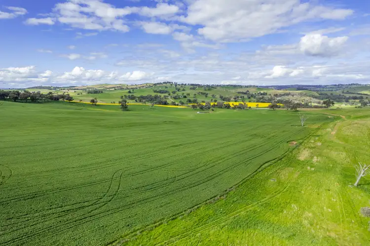 Third view of Homely rural property listing, 490 Reg Hailstone Way, Woodstock NSW 2793