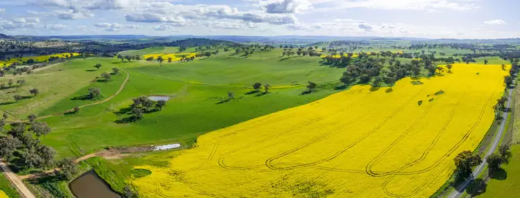 Fifth view of Homely rural property listing, 490 Reg Hailstone Way, Woodstock NSW 2793