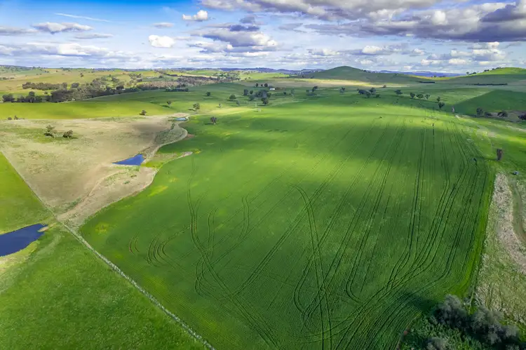 Sixth view of Homely rural property listing, 490 Reg Hailstone Way, Woodstock NSW 2793