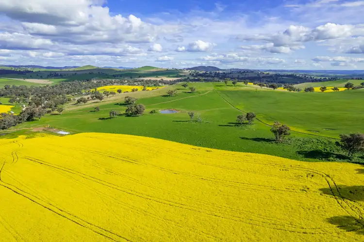Seventh view of Homely rural property listing, 490 Reg Hailstone Way, Woodstock NSW 2793