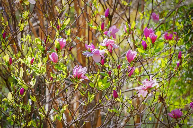 Fifth view of Homely house listing, 7/246 Upper Wilson Creek Road, Upper Wilsons Creek NSW 2482