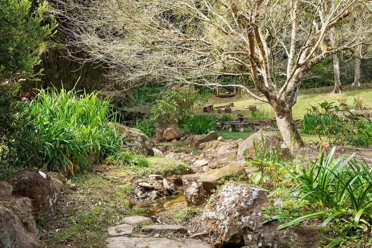 Sixth view of Homely house listing, 7/246 Upper Wilson Creek Road, Upper Wilsons Creek NSW 2482