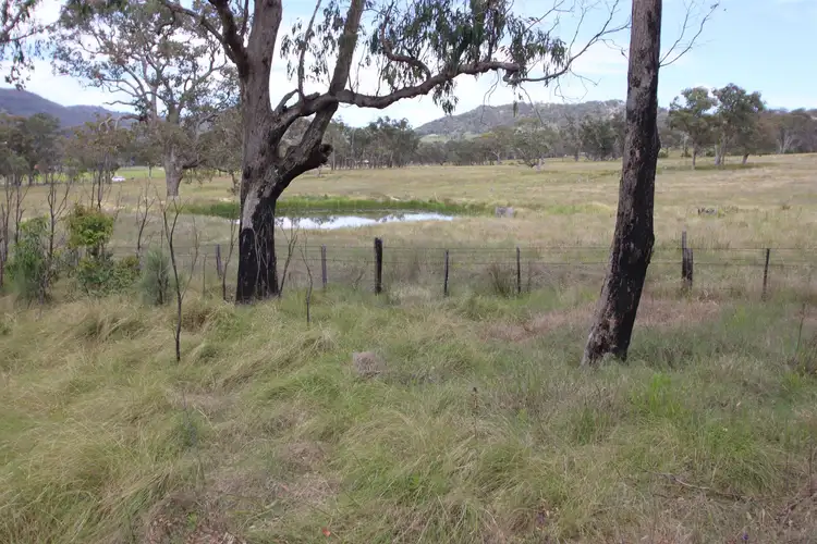 Lot 501 Neagles Lane, Tenterfield NSW 2372