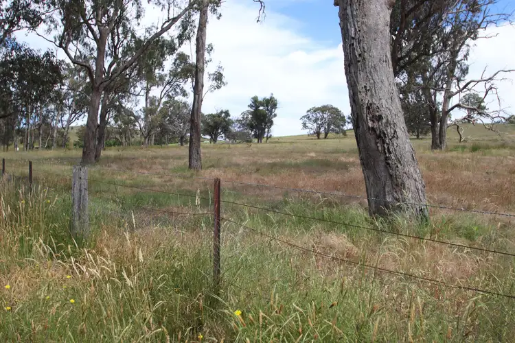 Fourth view of Homely land listing, Lot 501 Neagles Lane, Tenterfield NSW 2372