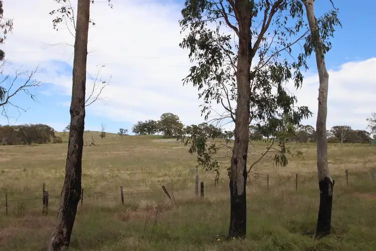 Fifth view of Homely land listing, Lot 501 Neagles Lane, Tenterfield NSW 2372