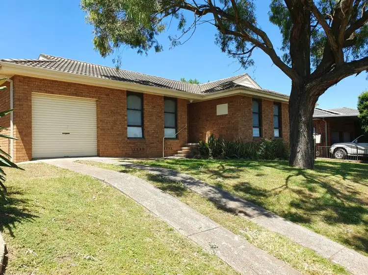 Main view of Homely house listing, 13 Calgaroo Ave, Muswellbrook NSW 2333