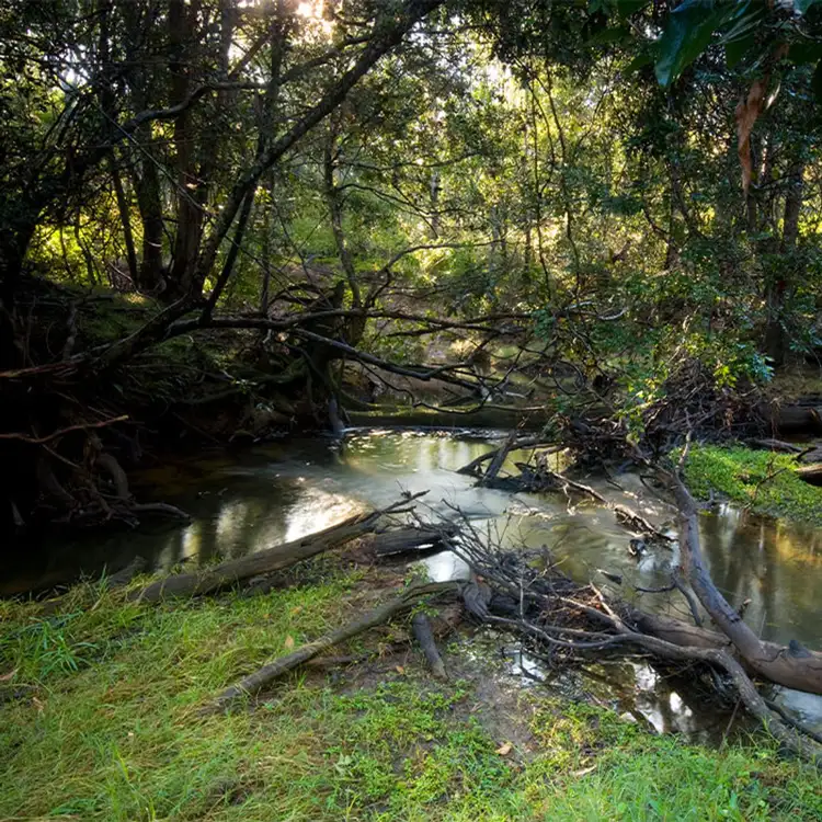 Sixth view of Homely land listing, Lots 22-85 PARK AVENUE, North Isis QLD 4660