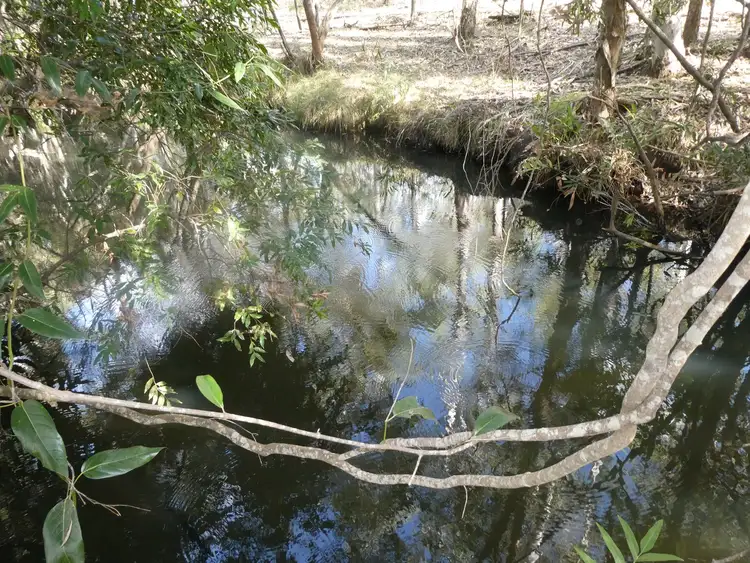 Second view of Homely rural property listing, 125 Smithfield Road, South Isis QLD 4660