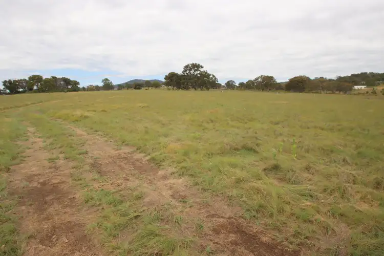 Third view of Homely rural property listing, 80 Sunnyside Loop Road, Tenterfield NSW 2372