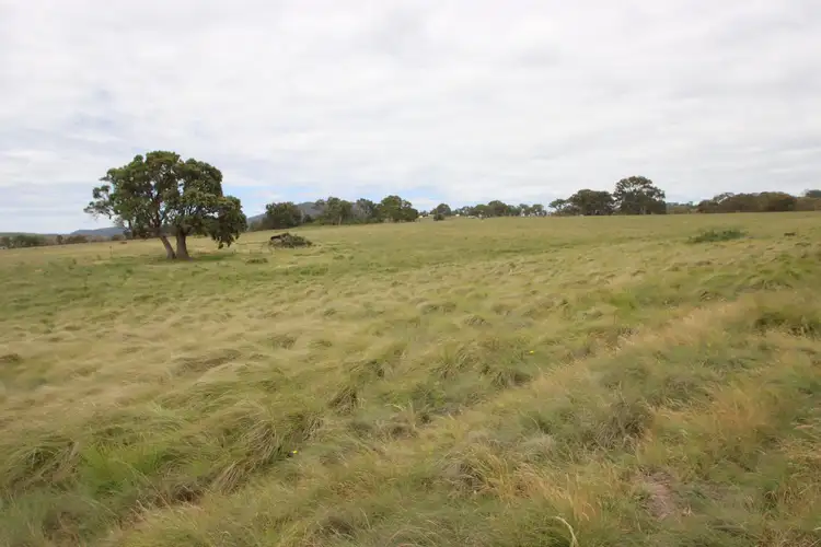 Sixth view of Homely rural property listing, 80 Sunnyside Loop Road, Tenterfield NSW 2372