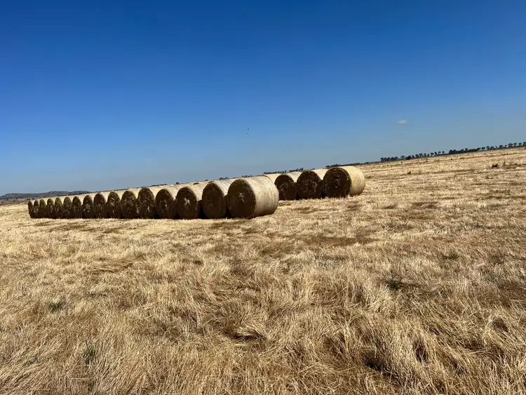 Third view of Homely rural property listing, 00 MITIAMO - KOW SWAMP ROAD, Pyramid Hill VIC 3575