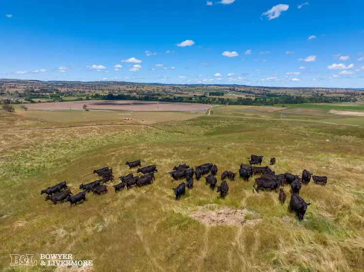 Third view of Homely rural property listing, 109 River Road, Wambool NSW 2795