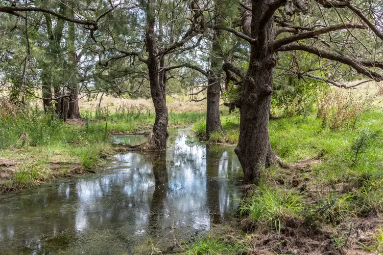 Third view of Homely rural property listing, L50 Booyal Dallarnil Road, Dallarnil QLD 4621