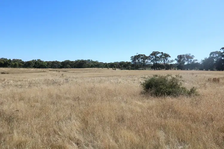 Second view of Homely rural property listing, C/A 66 Frenchmans-St Arnaud Road, Barkly VIC 3384