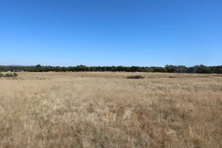 Third view of Homely rural property listing, C/A 66 Frenchmans-St Arnaud Road, Barkly VIC 3384
