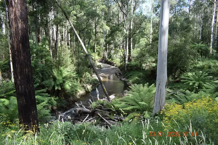 Main view of Homely land listing, 114 Duggan North Road, Fumina VIC 3825