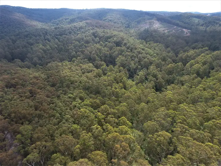 Sixth view of Homely land listing, 114 Duggan North Road, Fumina VIC 3825
