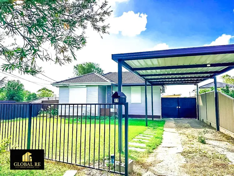 17 Antill Road, Mount Pritchard NSW 2170