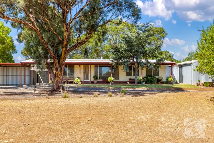320 Nurse Road, Freeling SA 5372