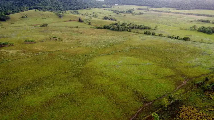 Sixth view of Homely rural property listing, 0 POPPI ROAD, Cowley QLD 4871