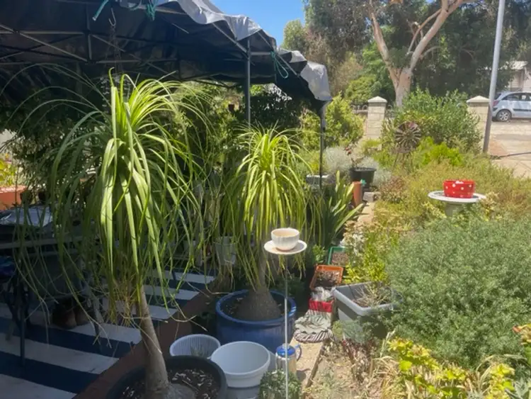 Sixth view of Homely house listing, 16 Hotham Avenue, Boddington WA 6390