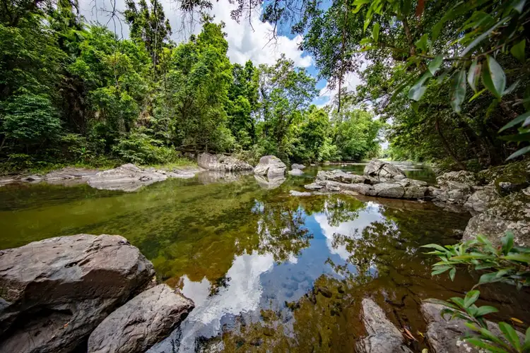 Main view of Homely rural property listing, 456 Warrakin Road, Japoonvale QLD 4856