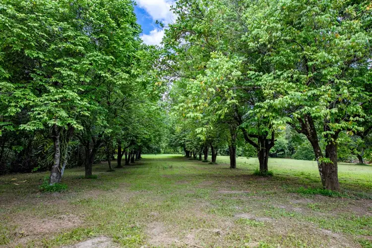 Third view of Homely rural property listing, 456 Warrakin Road, Japoonvale QLD 4856