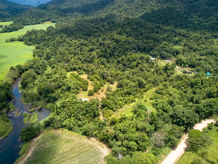Fourth view of Homely rural property listing, 456 Warrakin Road, Japoonvale QLD 4856