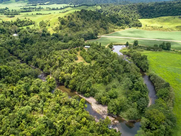 Fifth view of Homely rural property listing, 456 Warrakin Road, Japoonvale QLD 4856