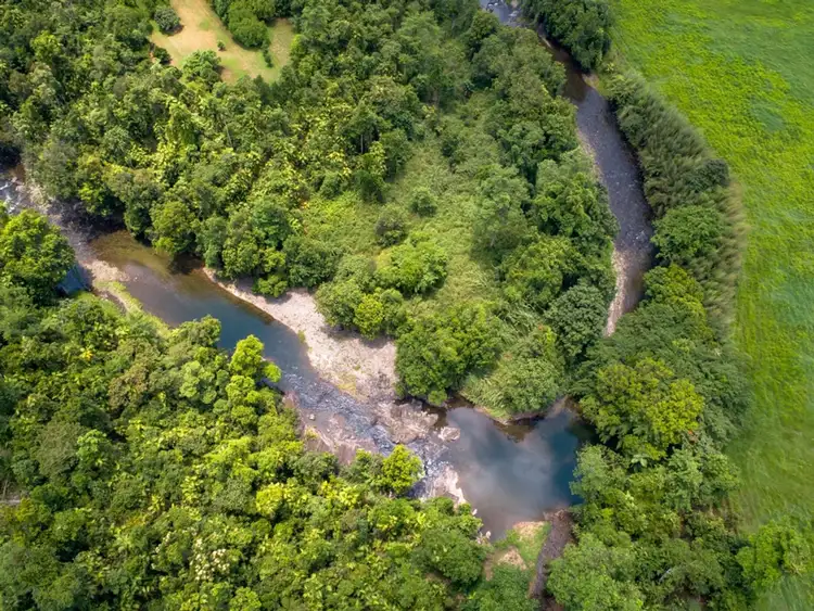 Sixth view of Homely rural property listing, 456 Warrakin Road, Japoonvale QLD 4856