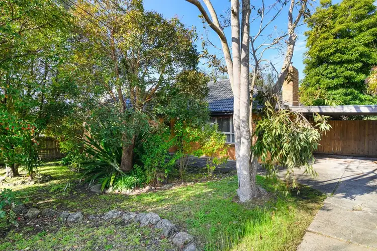 Second view of Homely house listing, 36 Cosgrove Street, Vermont VIC 3133
