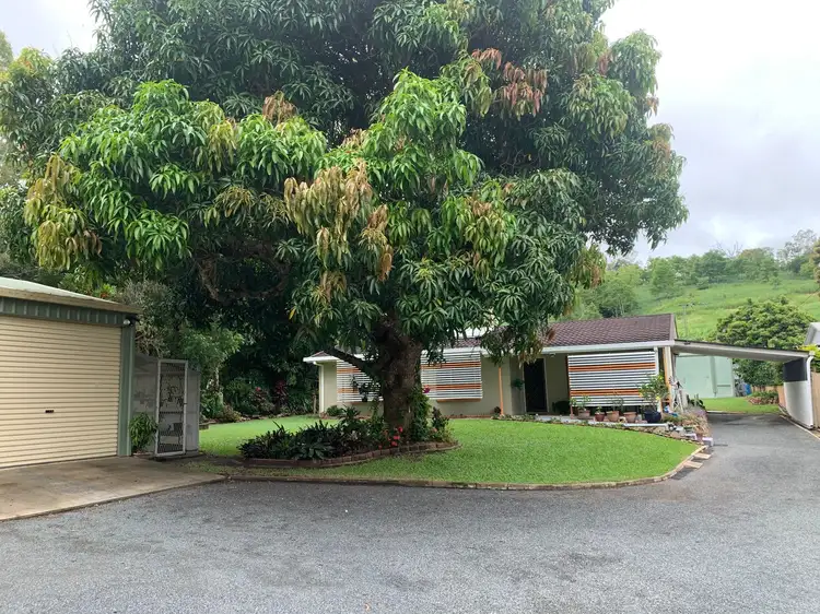 2114 Yakapari Seaforth Road, Seaforth QLD 4741