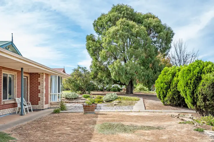Third view of Homely house listing, 25 Dalmeny Drive, Mount Barker SA 5251