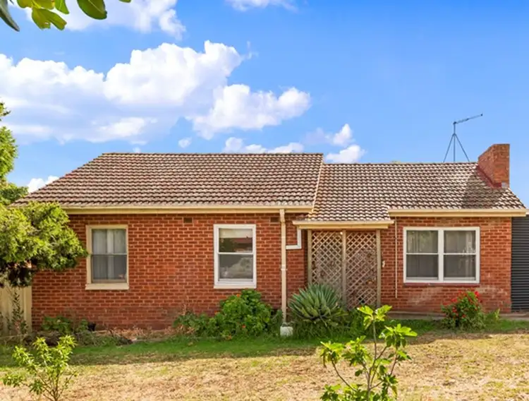 Main view of Homely house listing, 13 Hawk Street, Elizabeth Park SA 5113